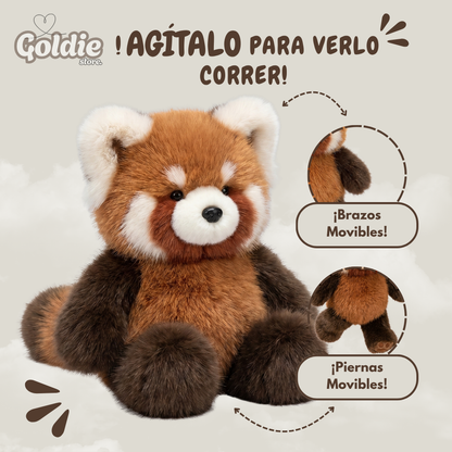 Runny Red Pand | Panda Rojo que corre