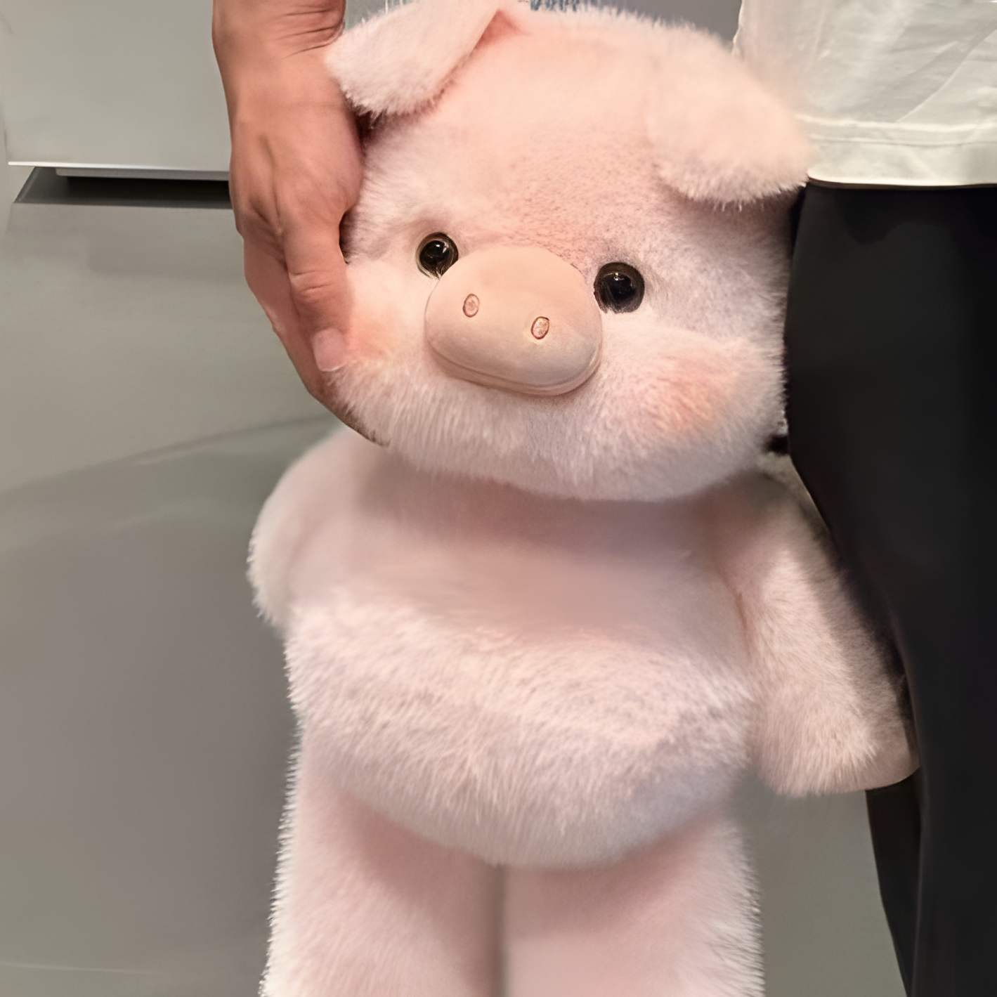 Oink!! Cerditos | Dash Plushies™