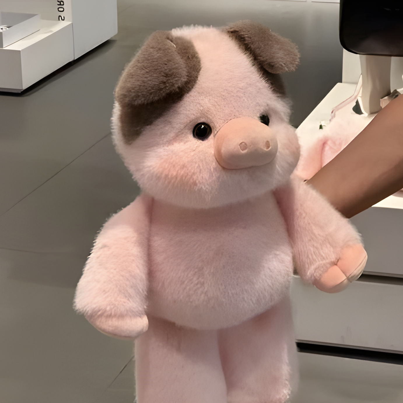 Oink!! Cerditos | Dash Plushies™